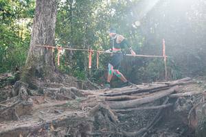 BIB: 
                            <button type="button" onclick="openModal(27750736)" class="btn btn-primary btn-sm float-right btn-popup" data-toggle="modal" data-target=".modal-high-quality">
                        <i class="fas fa-shopping-cart"></i> Add to Cart
                    </button>
                                            <button type="button" onclick="isThisMe(27750736, true)" class="btn btn-success btn-sm float-right btn-popup btn-isme hidden" data-toggle="tooltip" data-placement="bottom" title="นี่คือรูปของคุณใช่ไหม คลิกที่นี่เพื่อเอาเข้าอัลบั้ม">
                        <i class="fas fa-plus"></i> Add to album
                    </button>
                    <button type="button" onclick="isThisMe(27750736, false)" class="btn btn-warning btn-sm float-right btn-popup btn-isnotme hidden">
                        <i class="fas fa-ban"></i> Remove from album
                    </button>